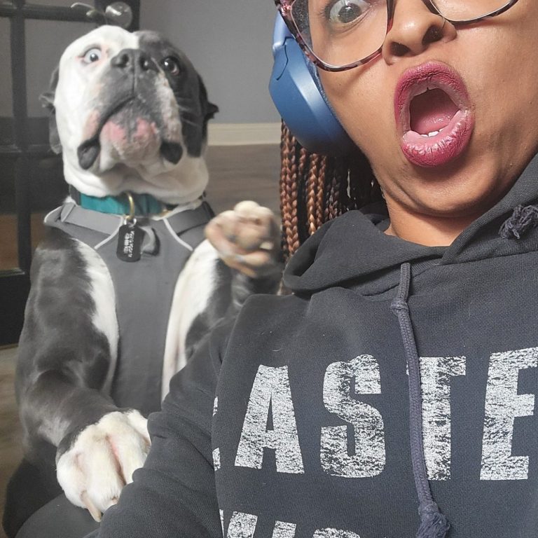 You Can Leave Pet Sitting Services - North Austin, Texas Two small dogs playfully interacting in a cozy indoor setting.